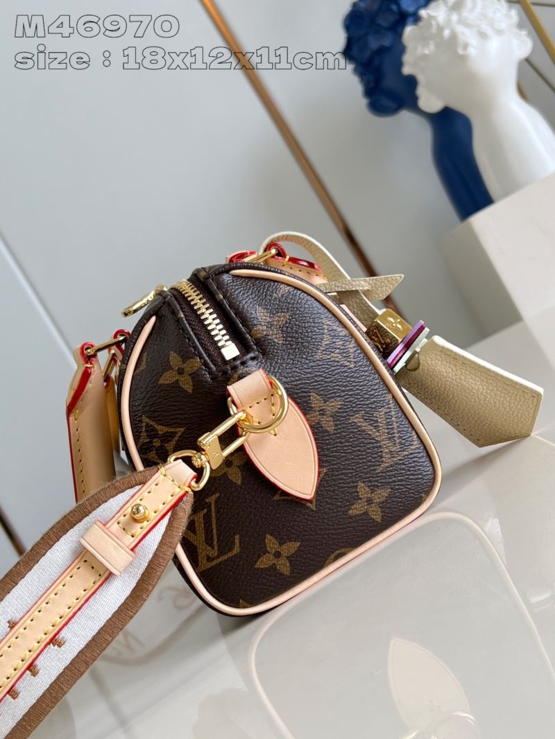 LV Speedy Bags